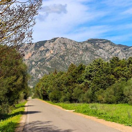 Casa Vacanza - Iglehouse - Parking Nearby Iglesias Εξωτερικό φωτογραφία
